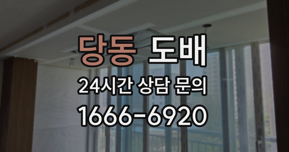 당동 도배