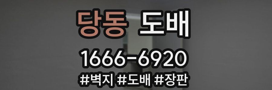 당동 도배