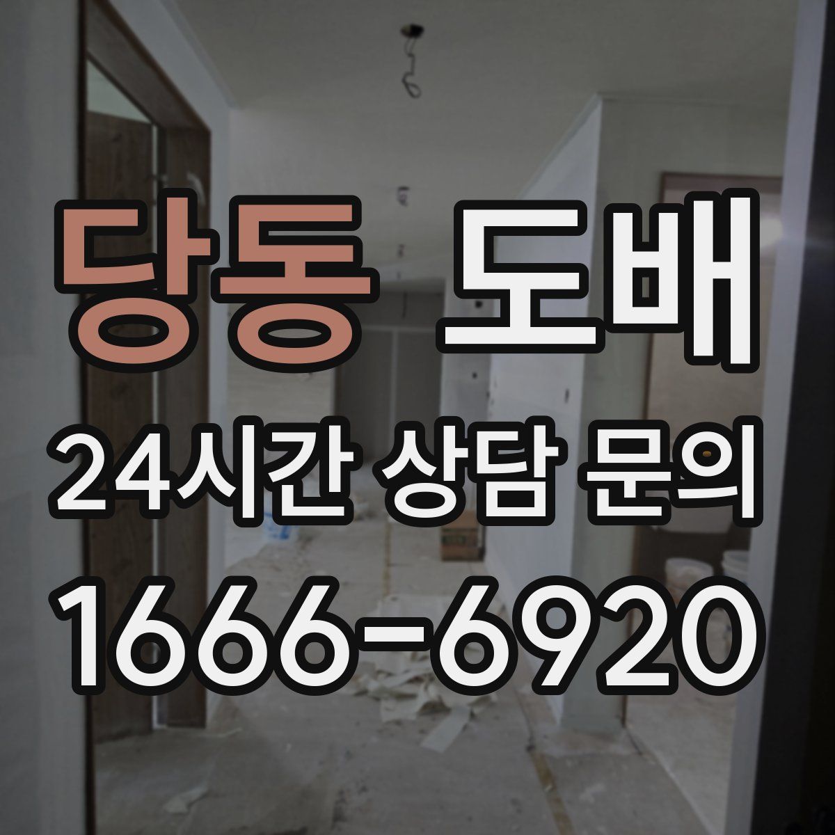 당동 도배