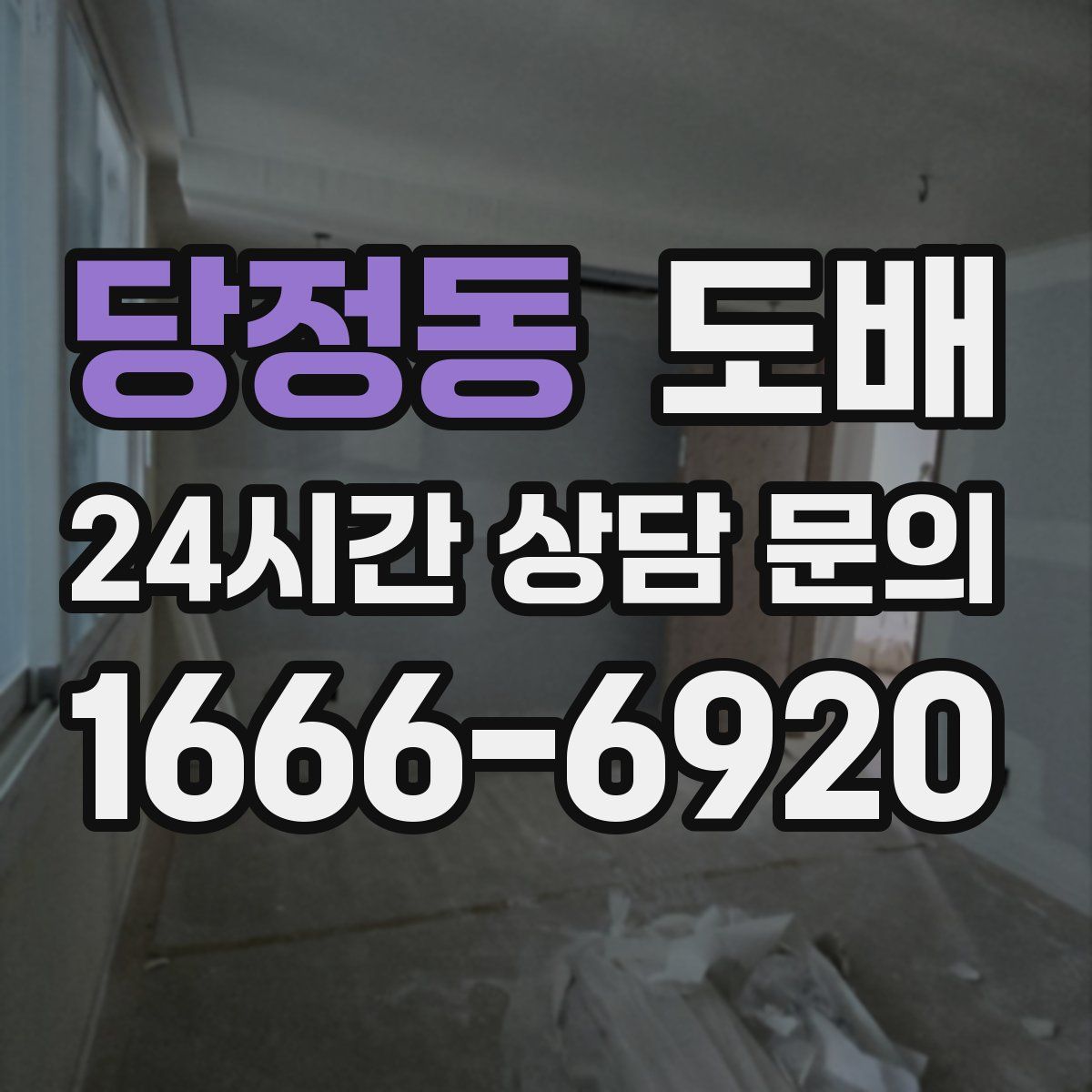 당정동 도배