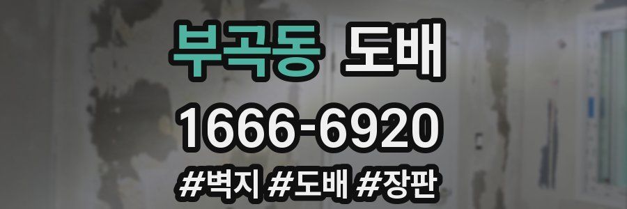 부곡동 도배