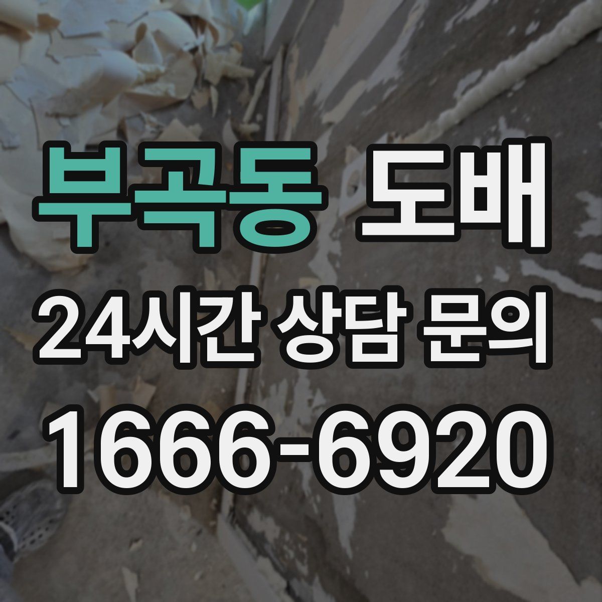 부곡동 도배