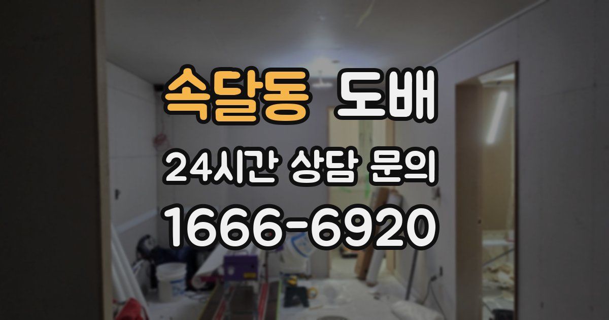 속달동 도배