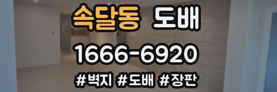 속달동 도배