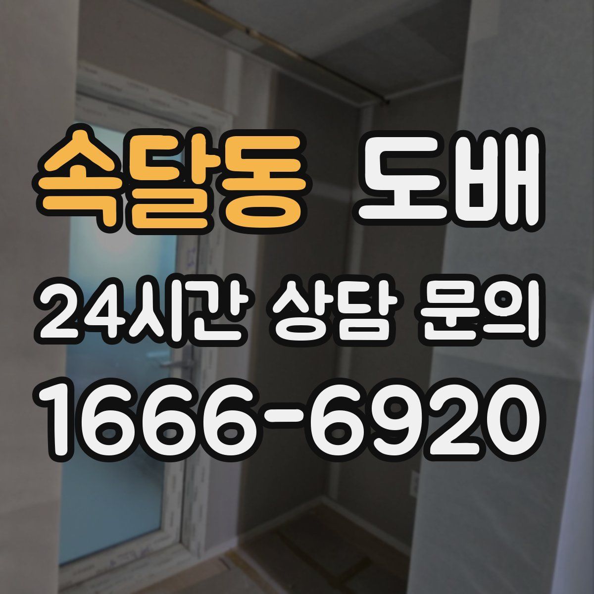 속달동 도배