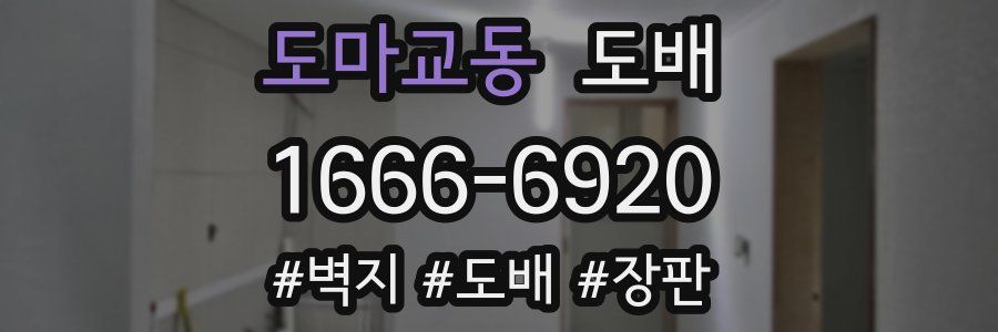 도마교동 도배