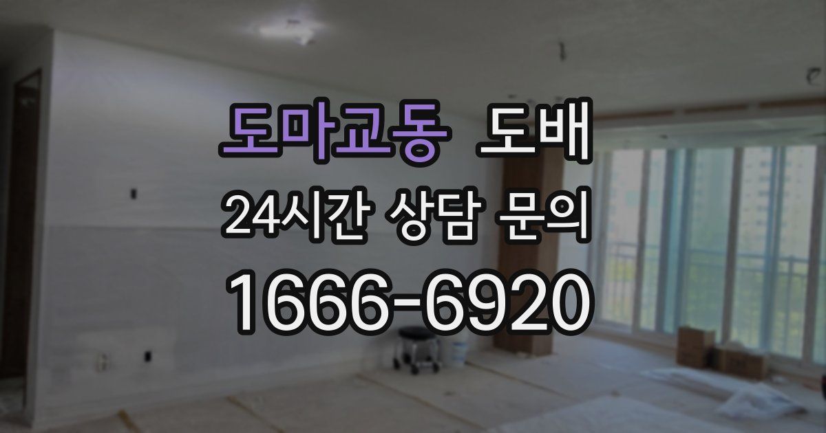 도마교동 도배
