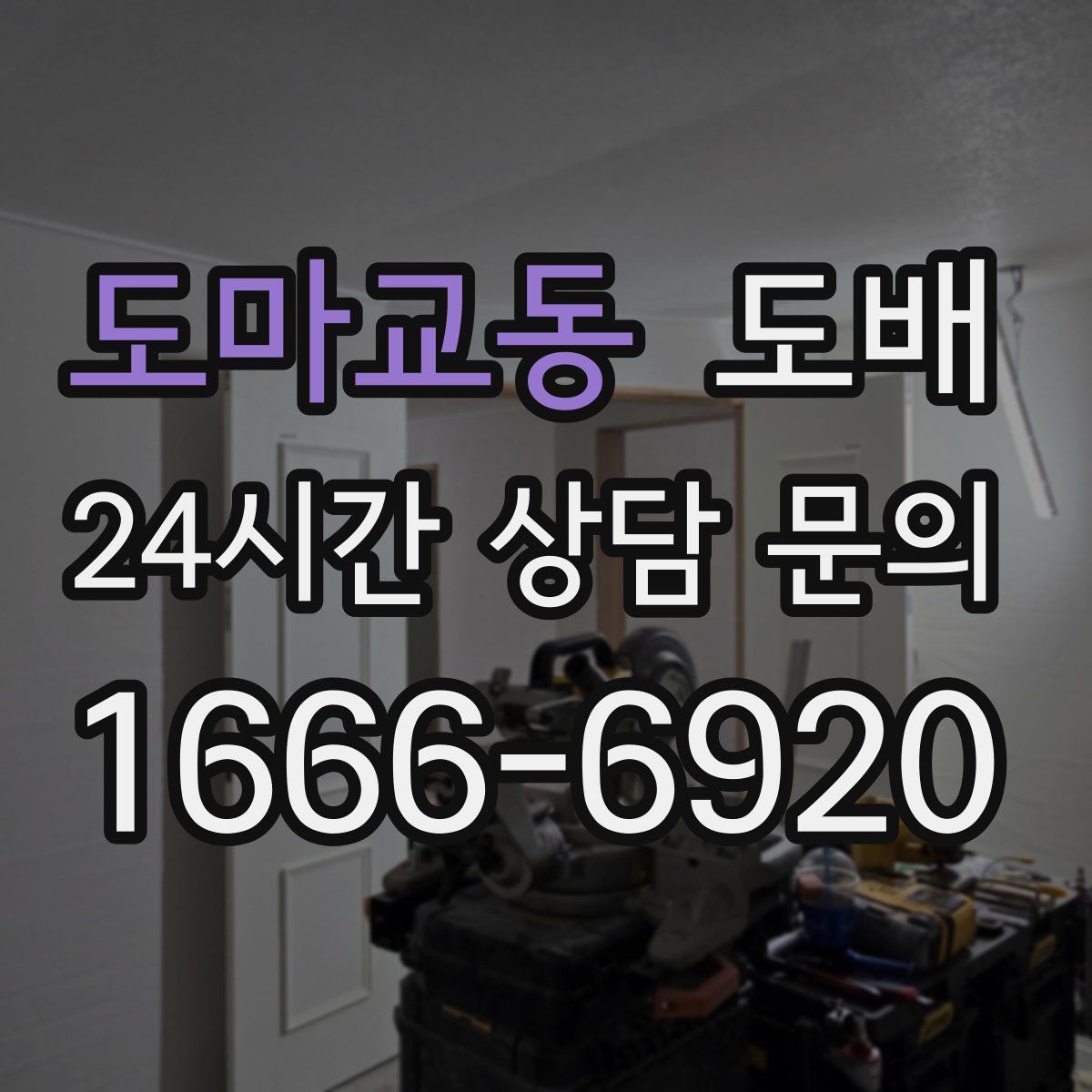도마교동 도배