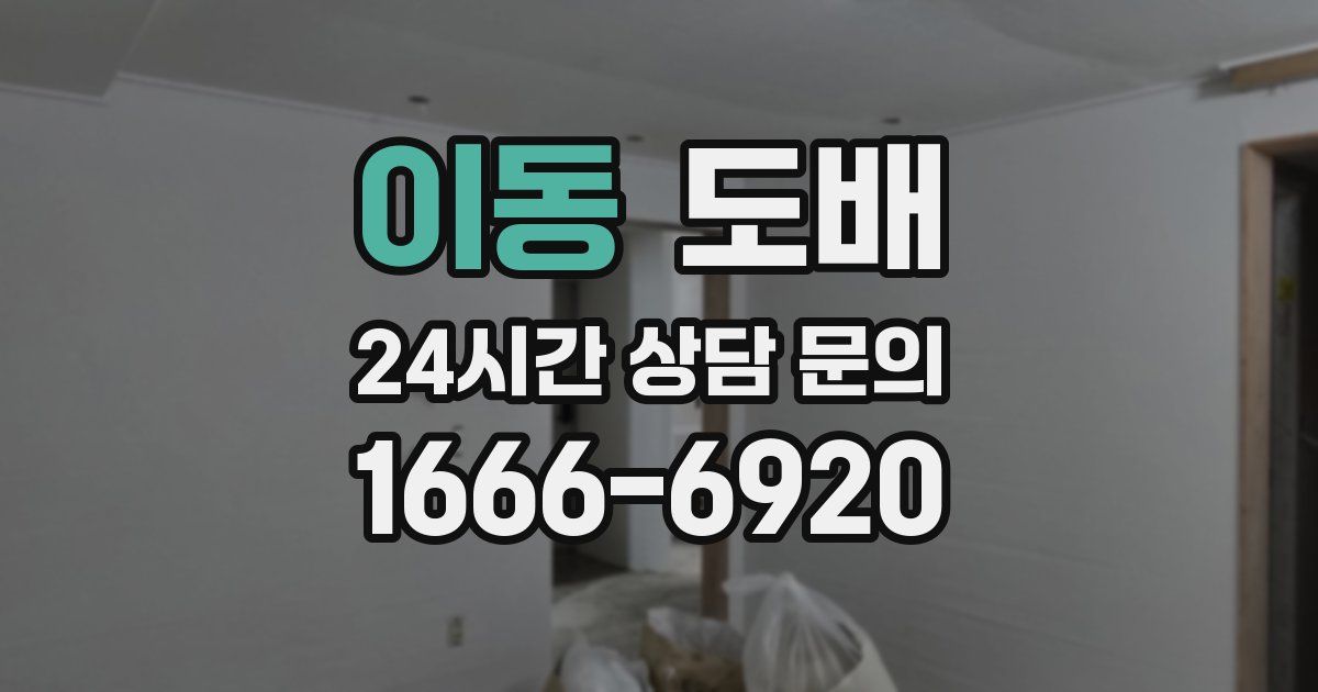 이동 도배