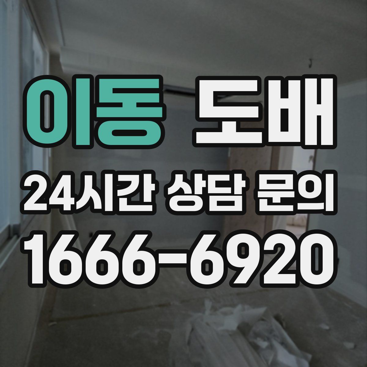 이동 도배