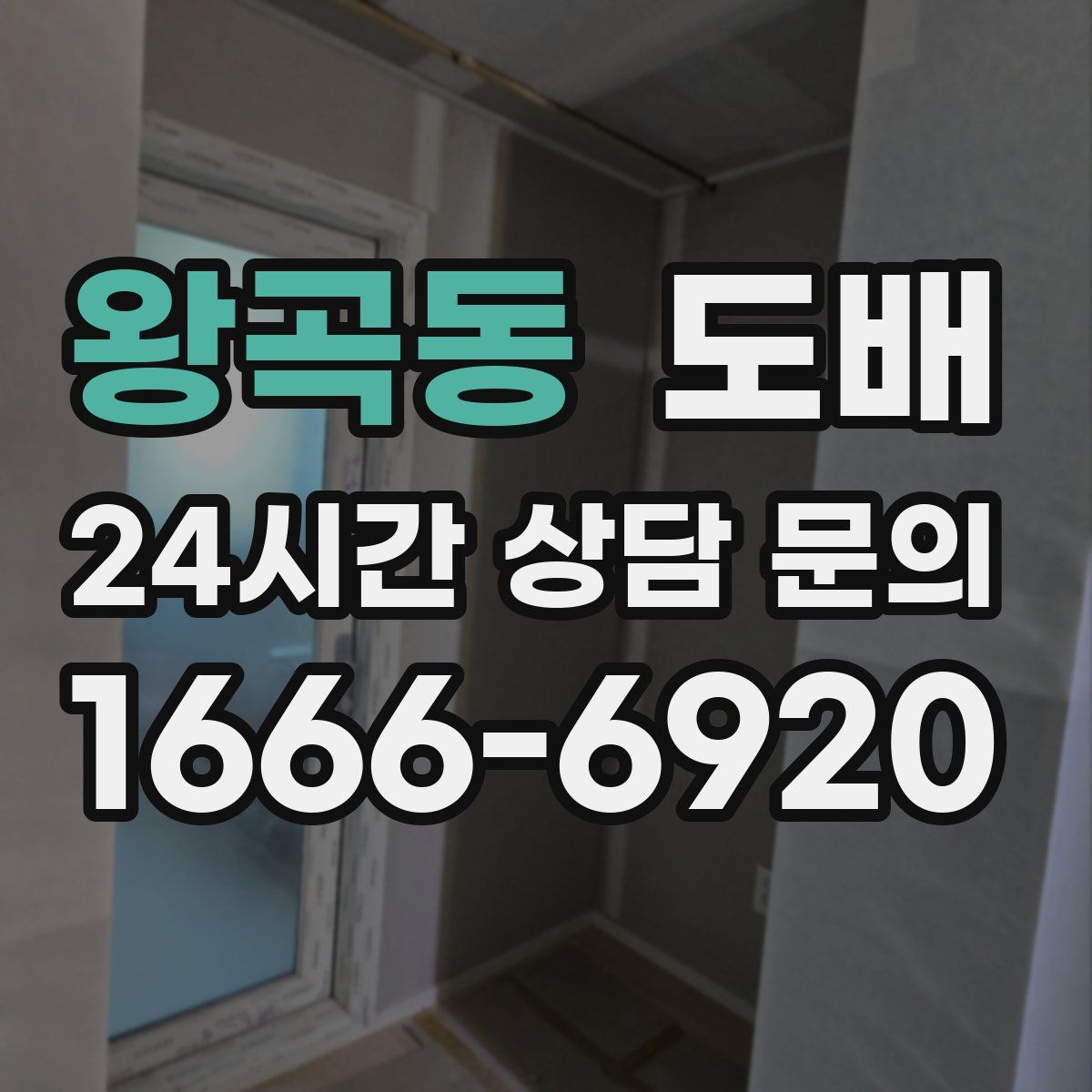 왕곡동 도배