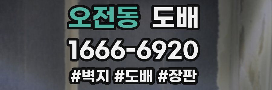 오전동 도배