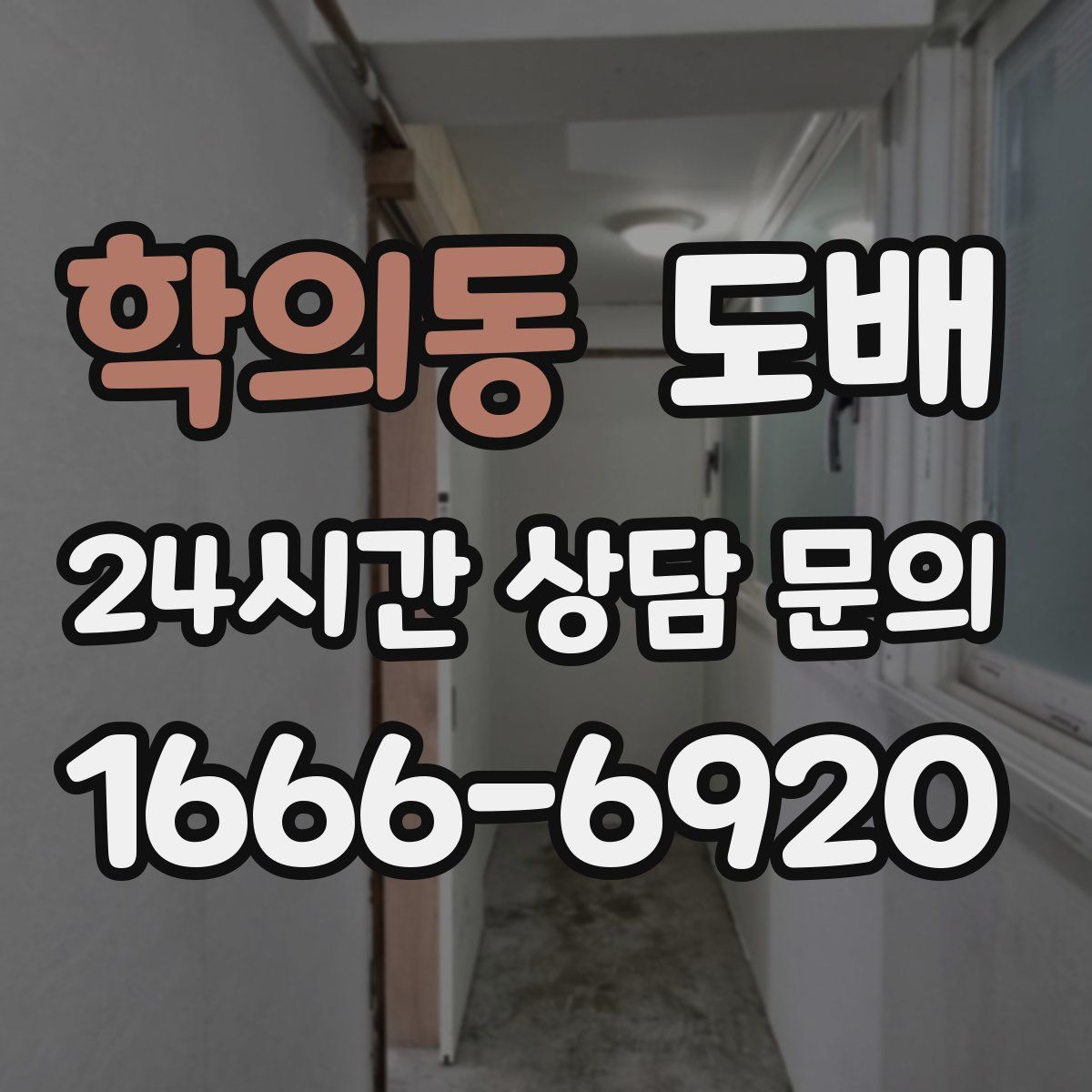 학의동 도배