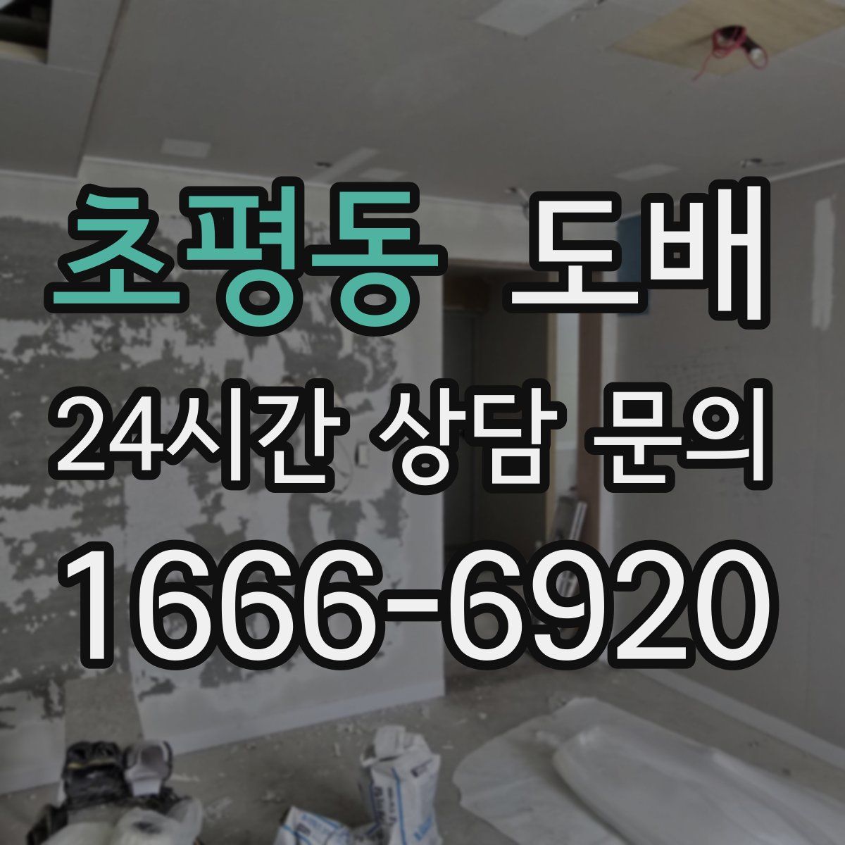 초평동 도배