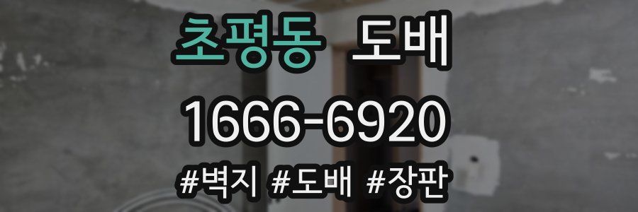 초평동 도배