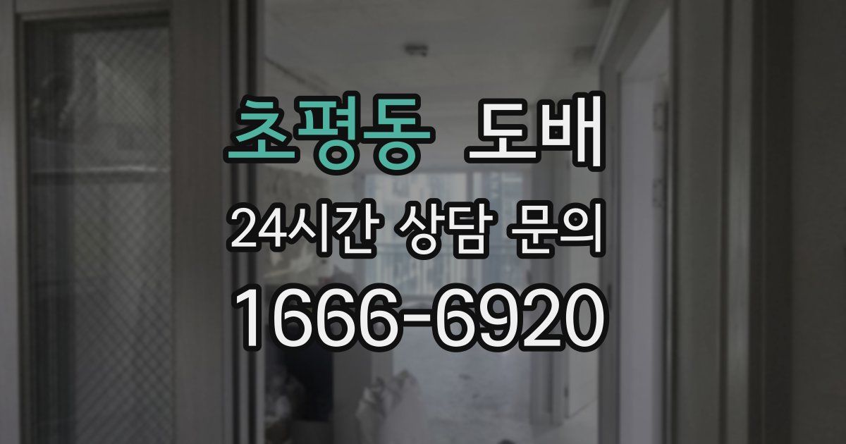 초평동 도배