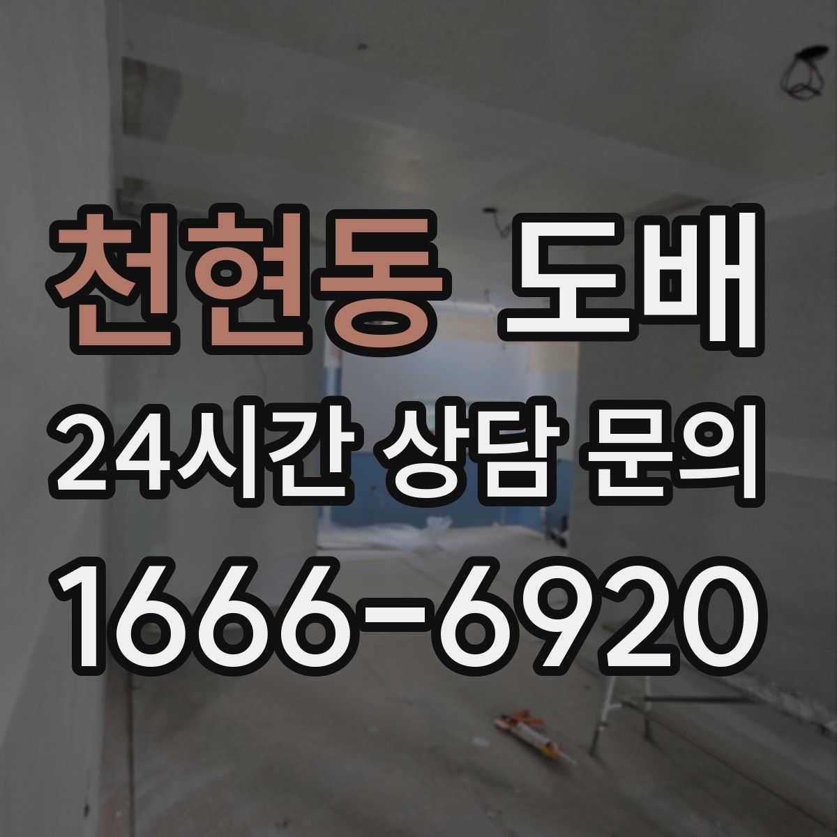 천현동 도배