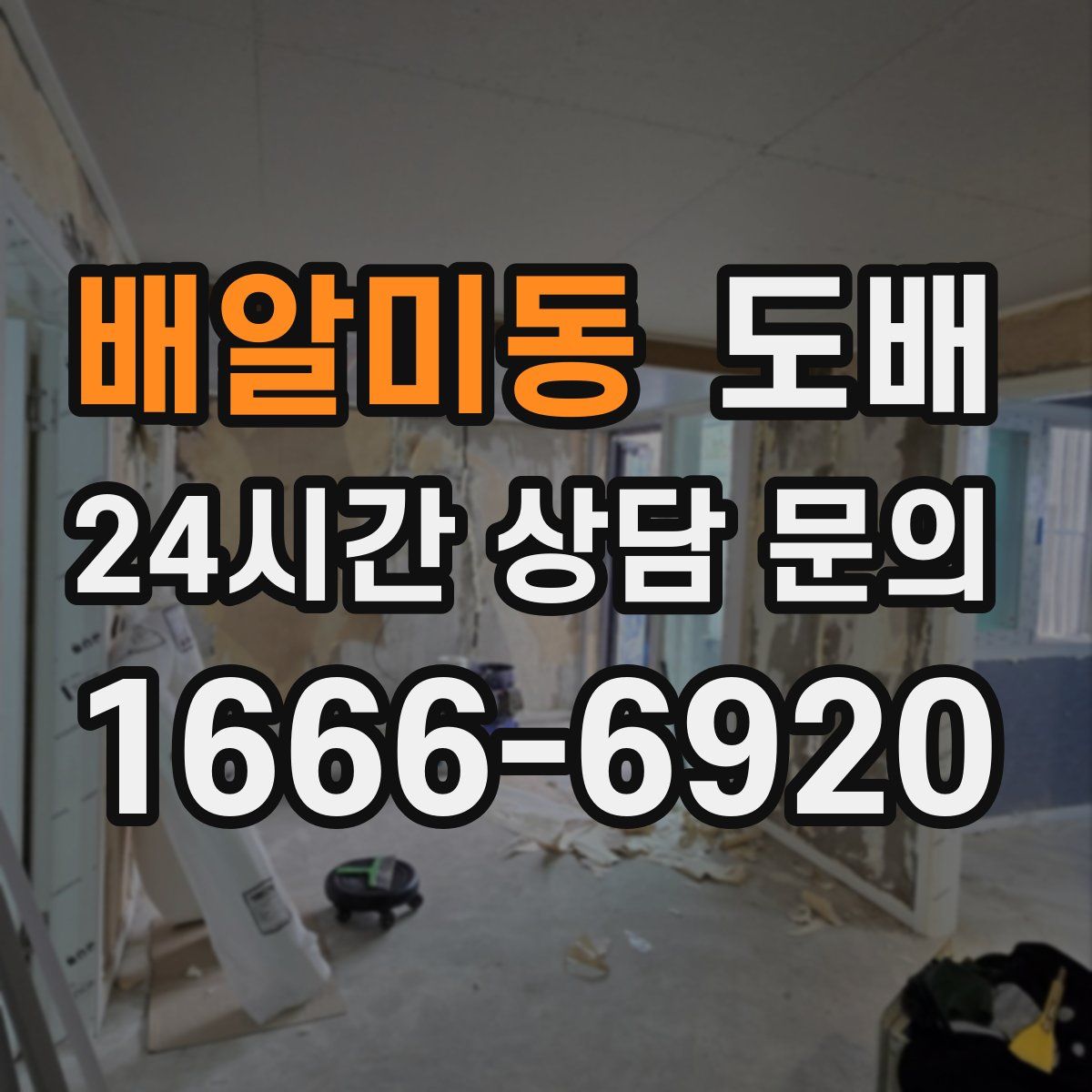 배알미동 도배