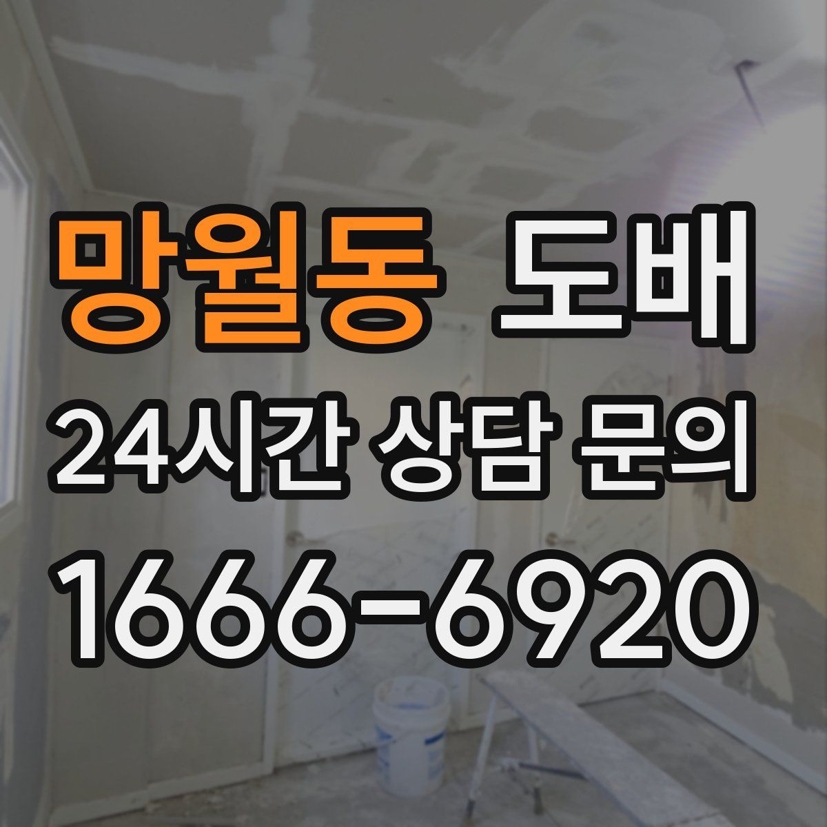망월동 도배