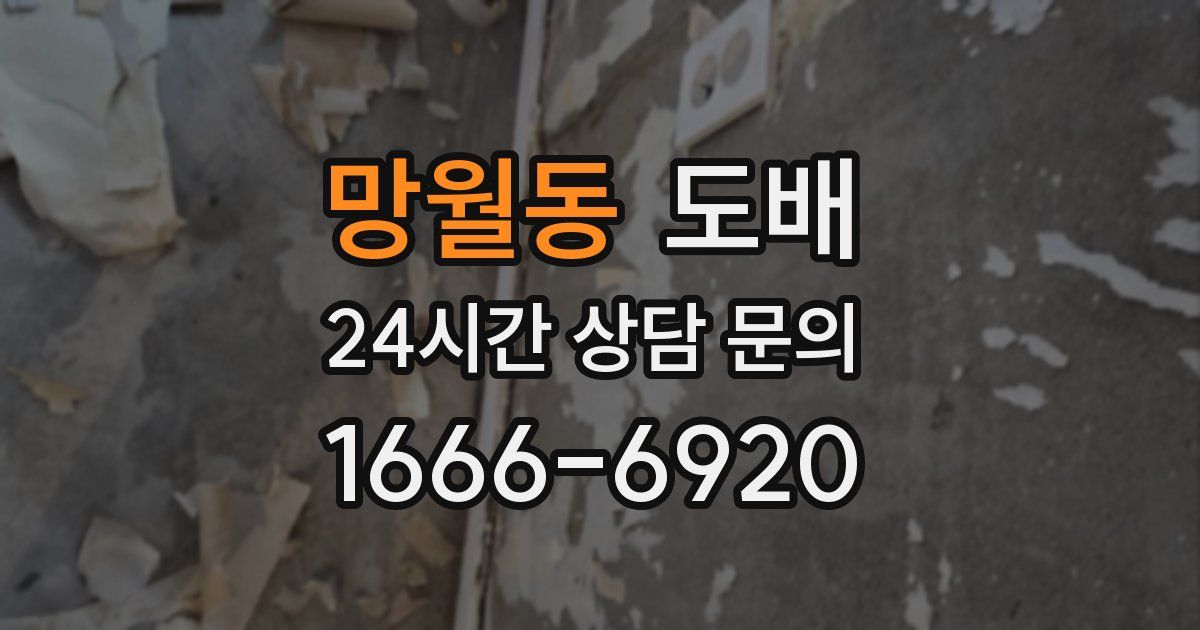망월동 도배