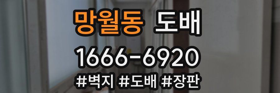 망월동 도배