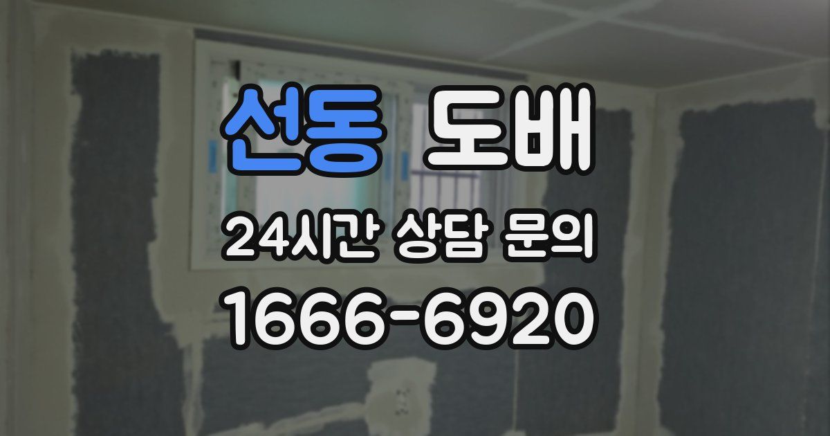 선동 도배