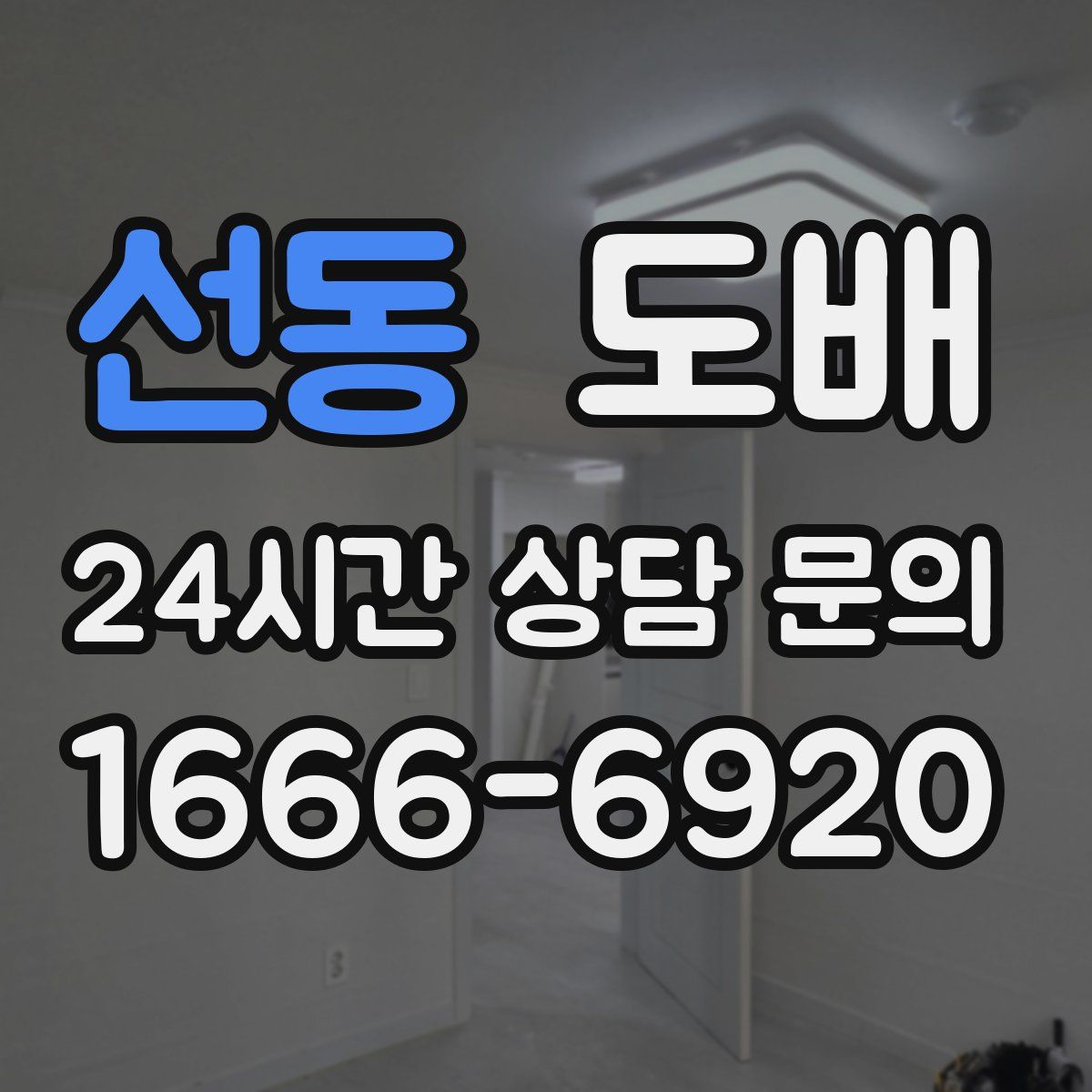 선동 도배