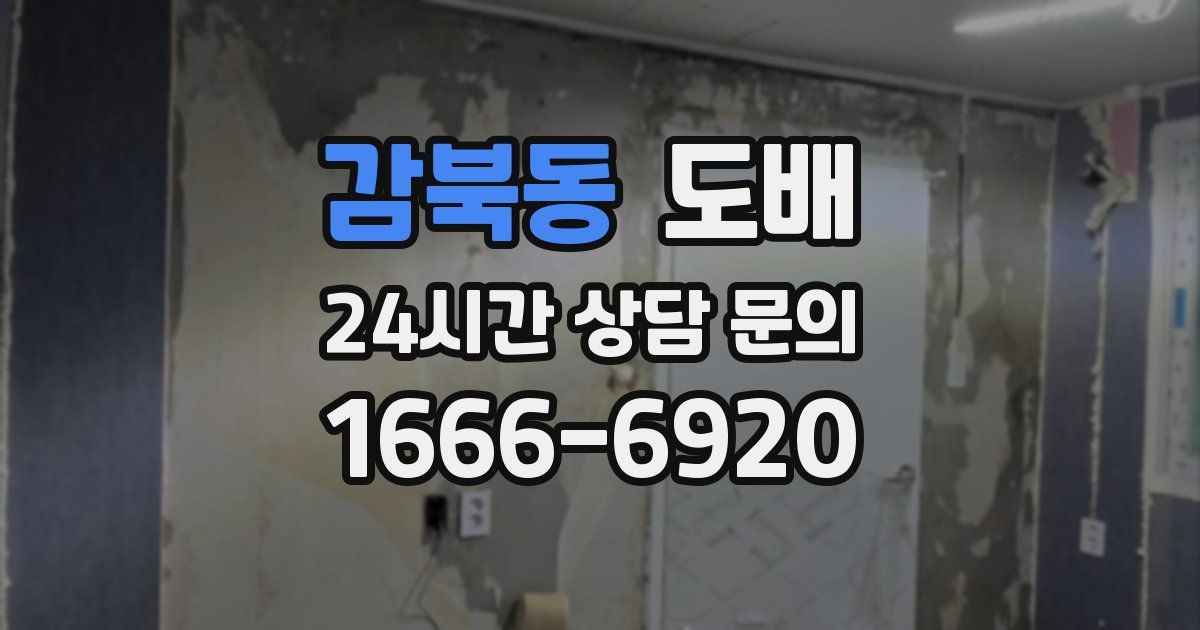 감북동 도배