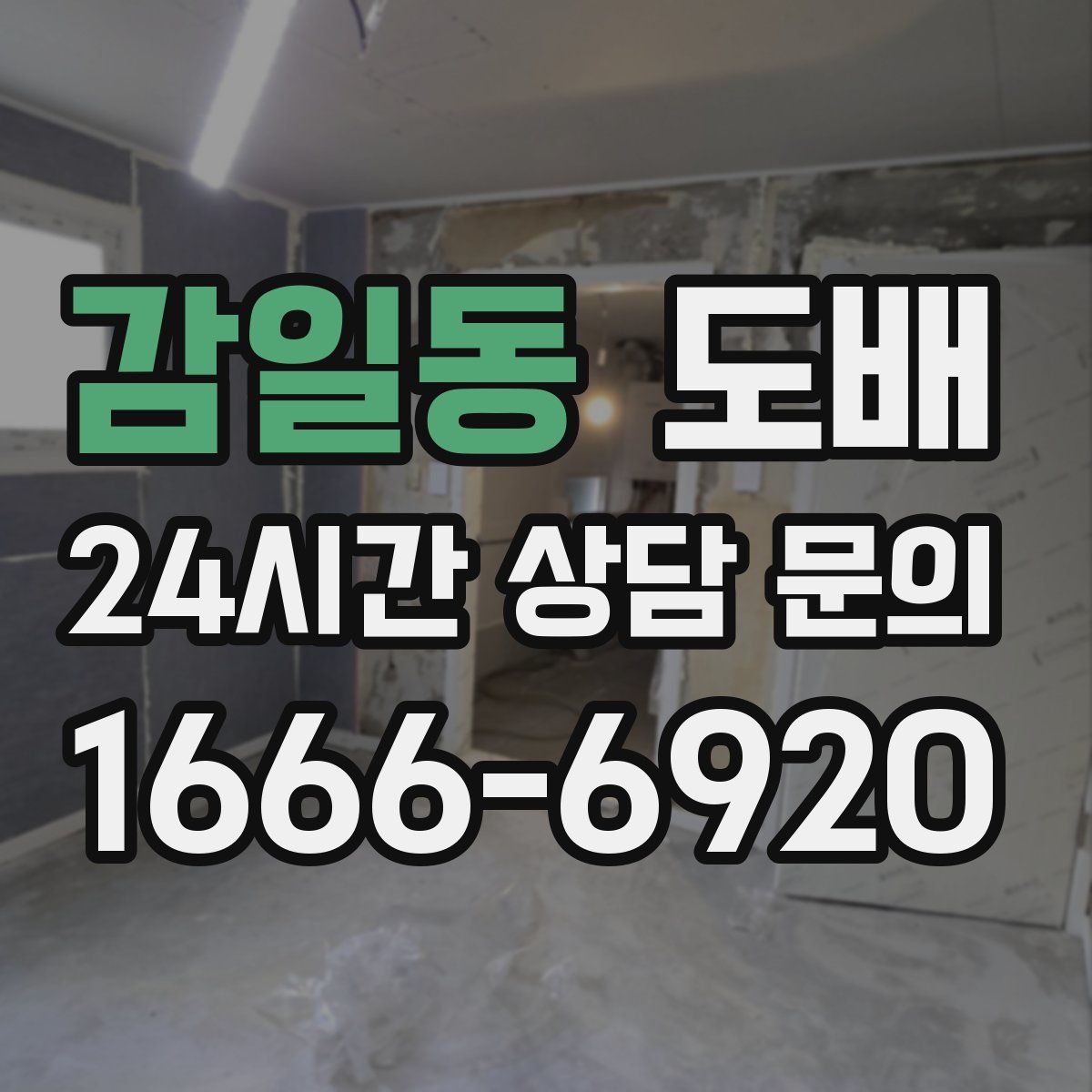 감일동 도배