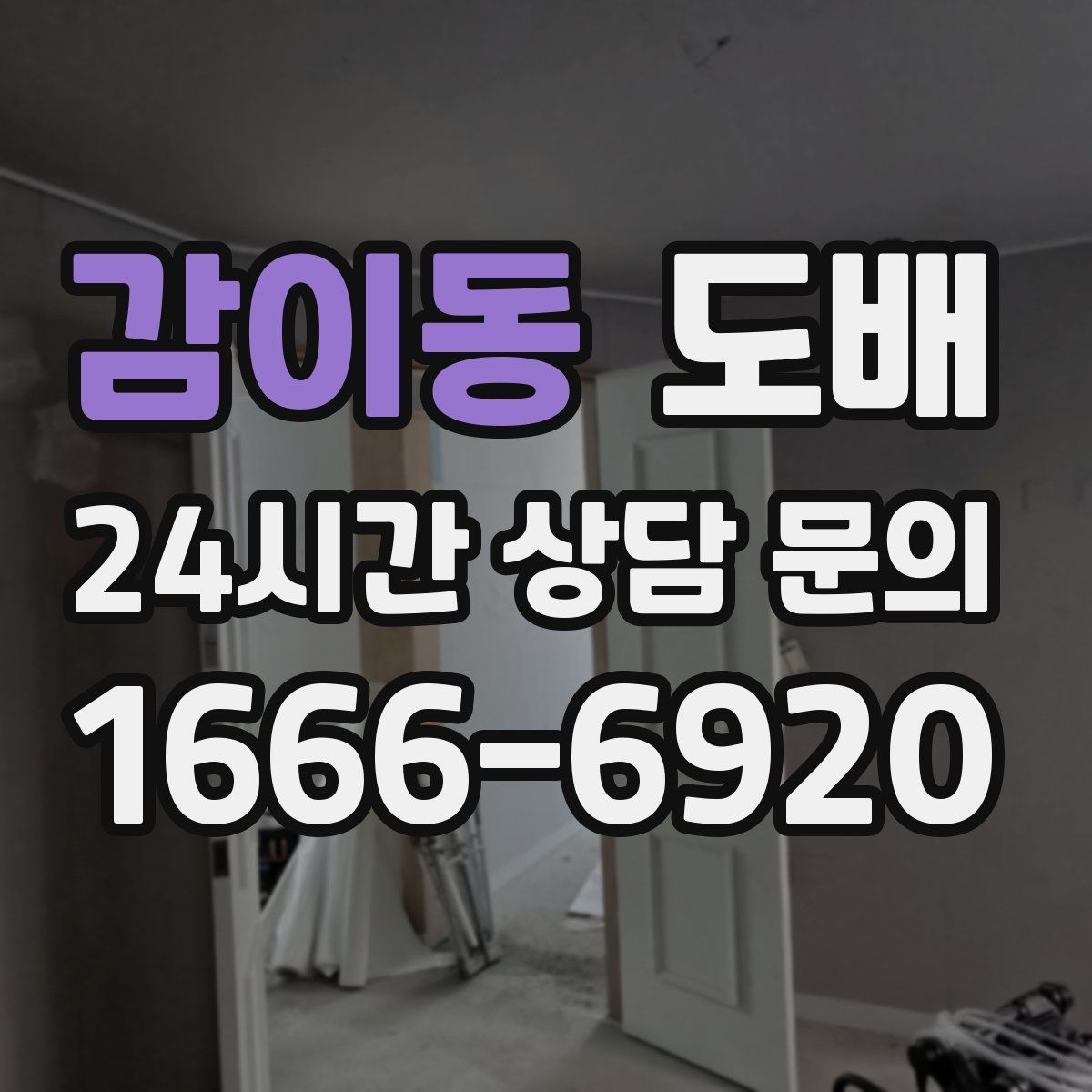 감이동 도배