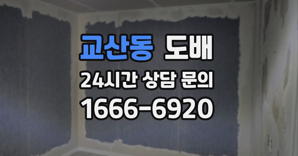 교산동 도배