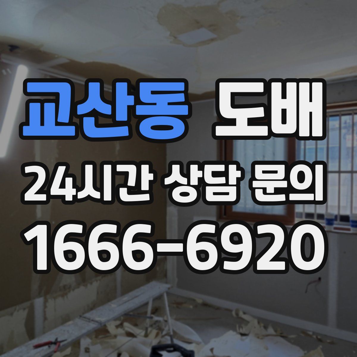 교산동 도배