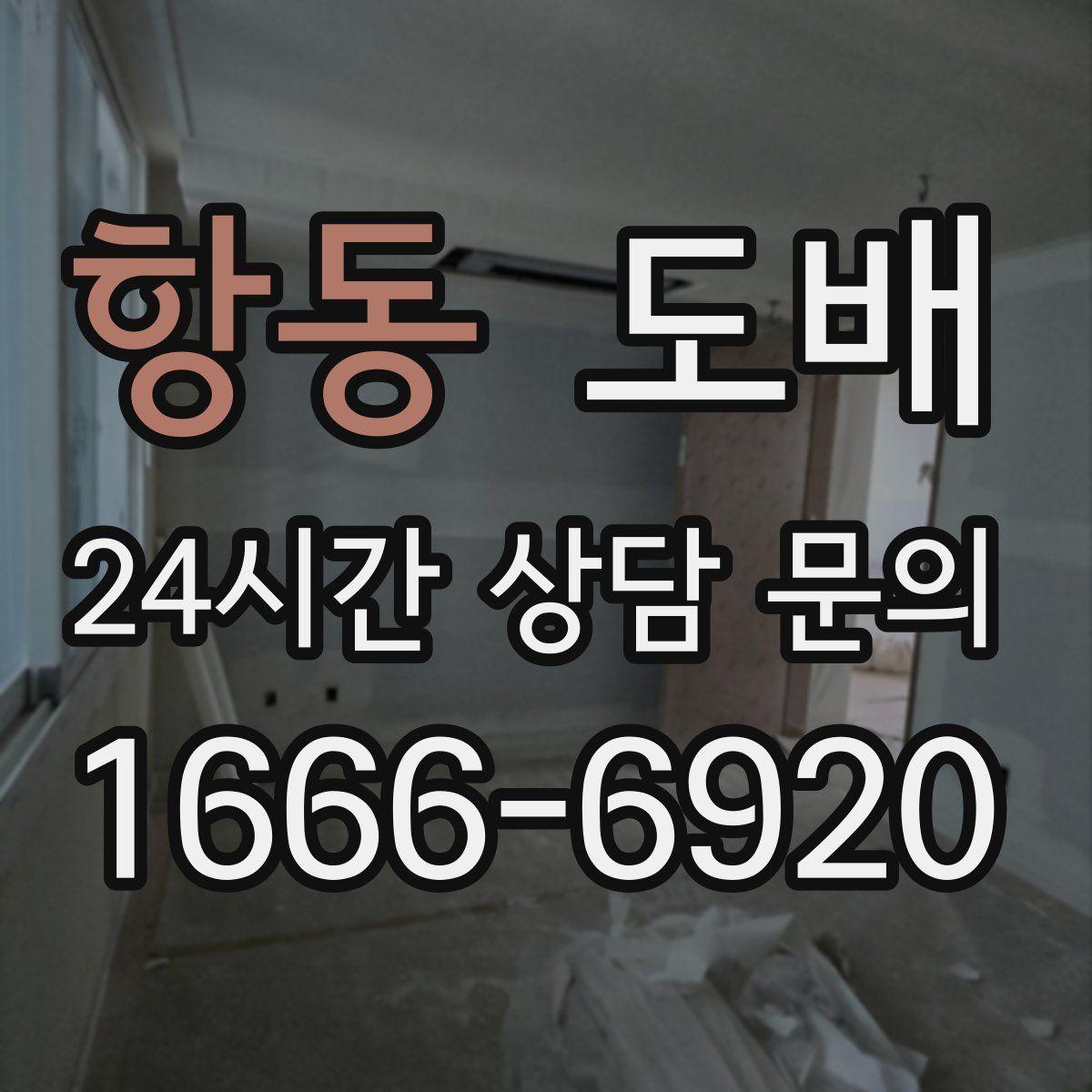 항동 도배