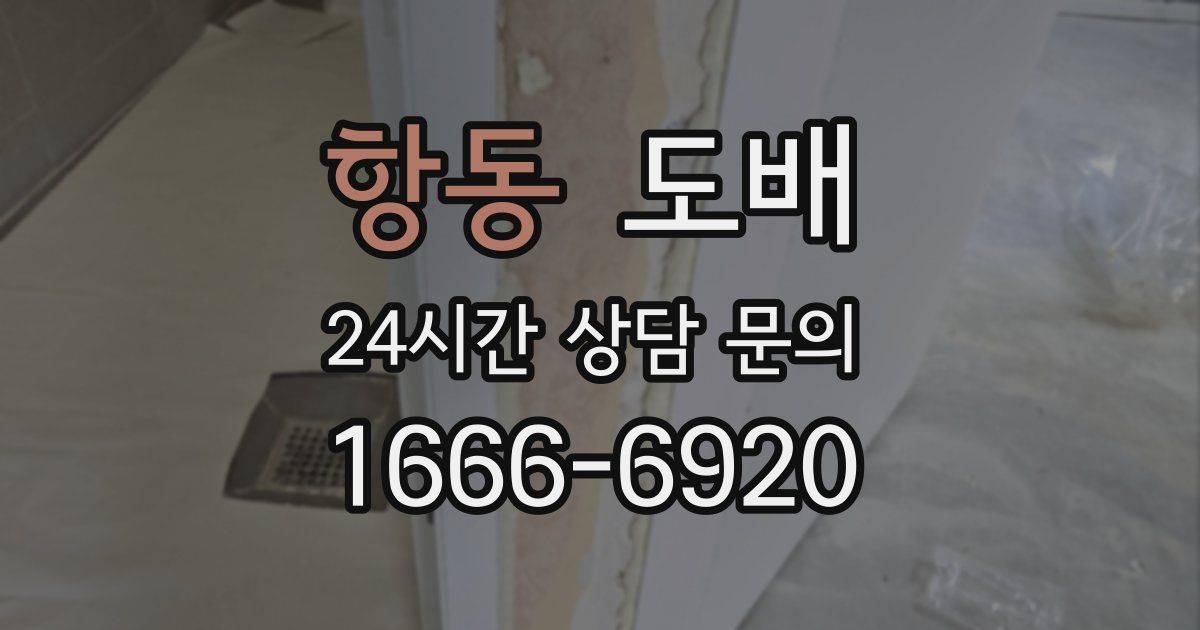 항동 도배