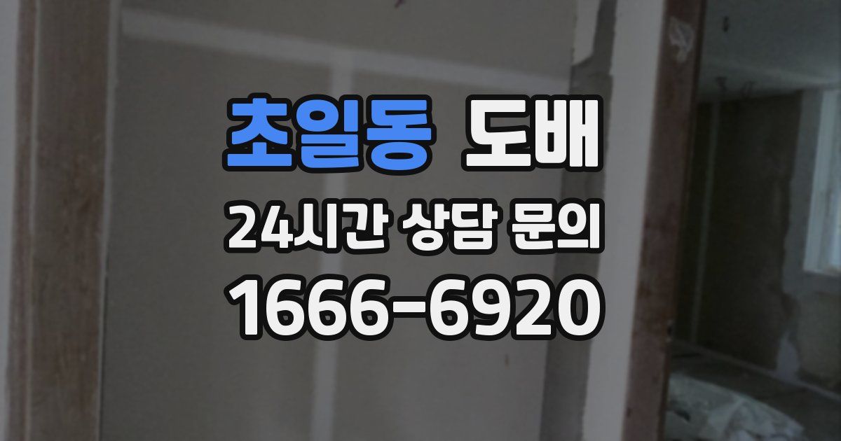초일동 도배