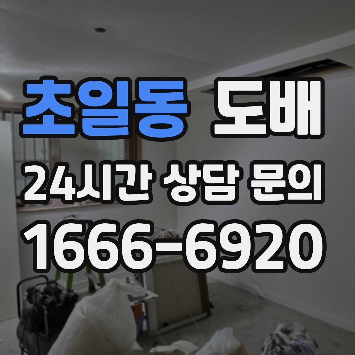 초일동 도배