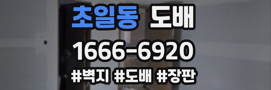 초일동 도배