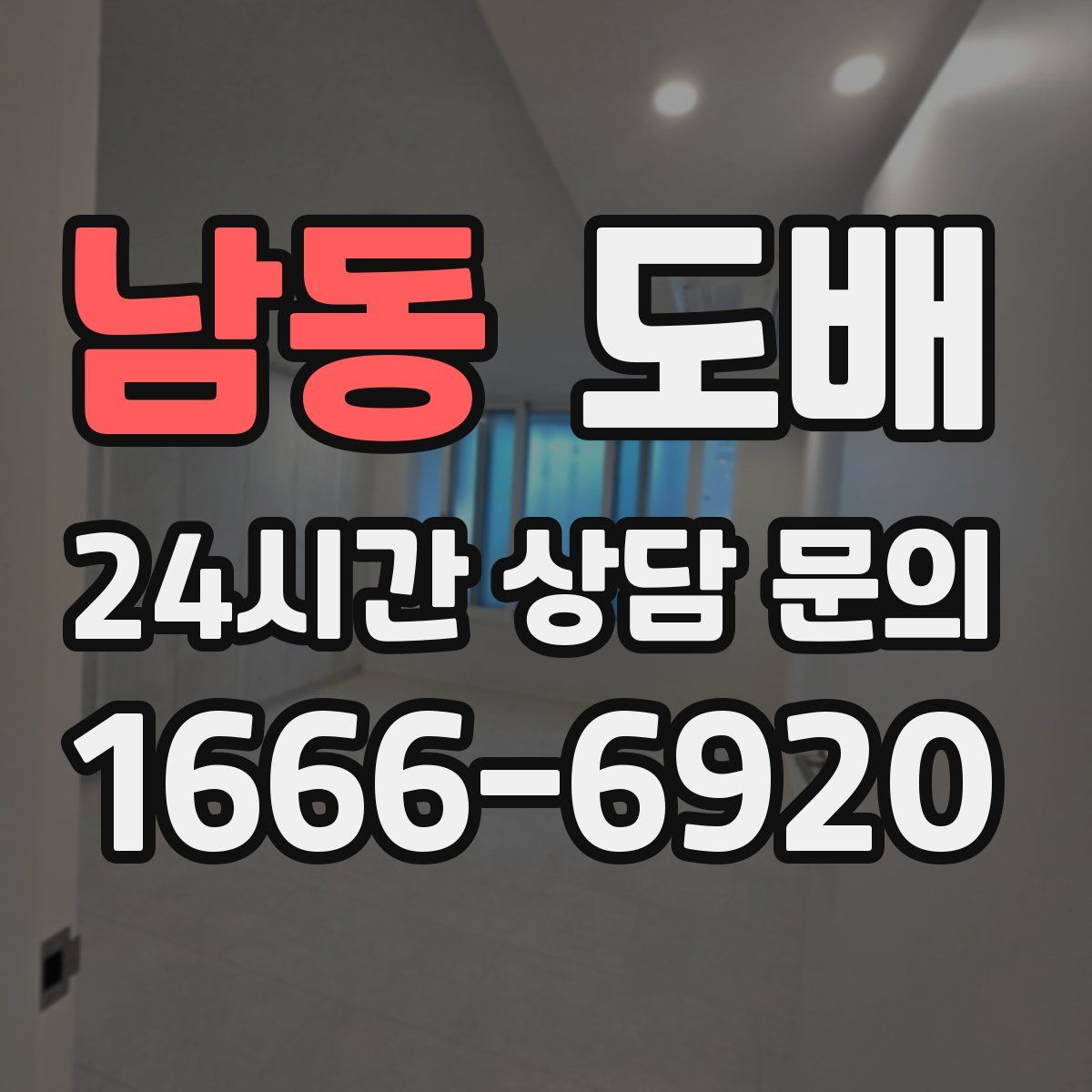 남동 도배