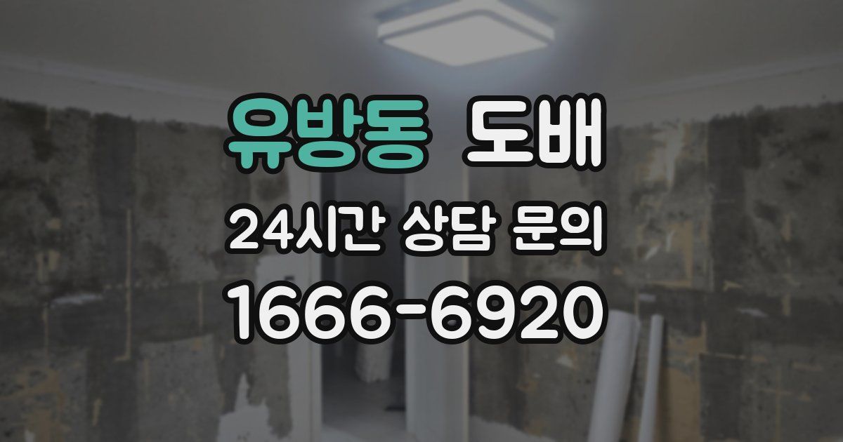 유방동 도배