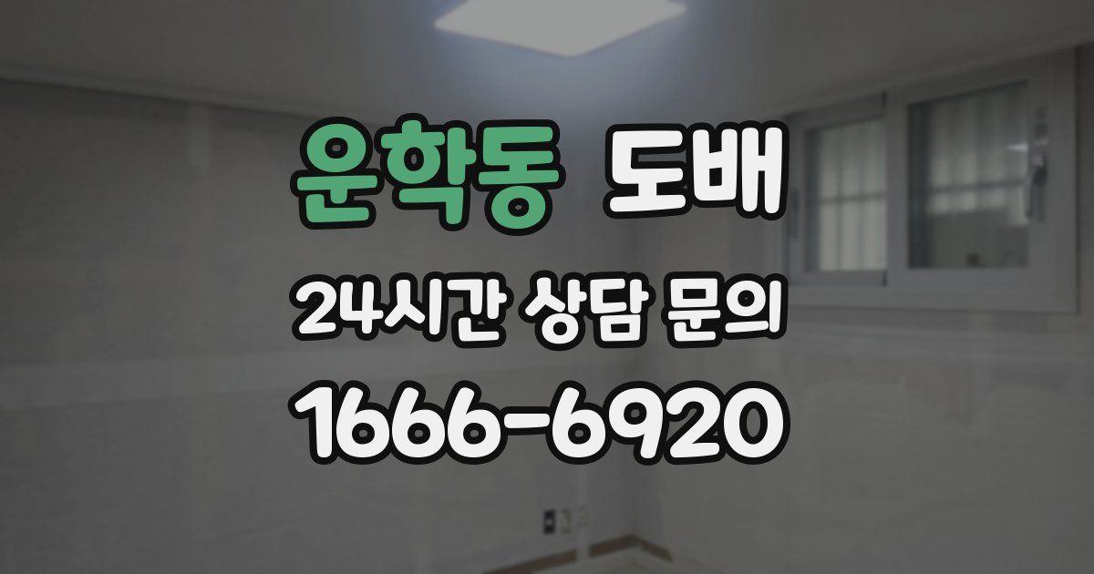 운학동 도배