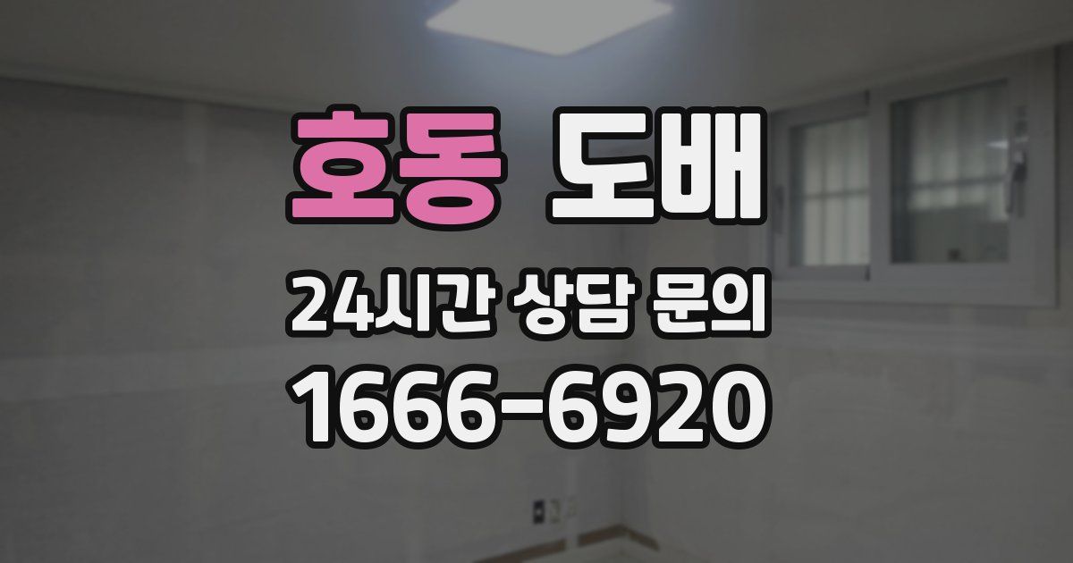 호동 도배