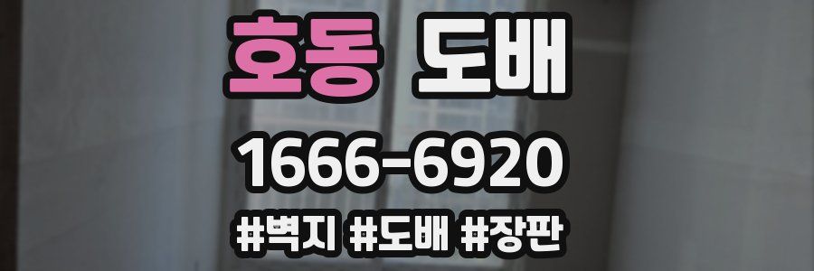 호동 도배