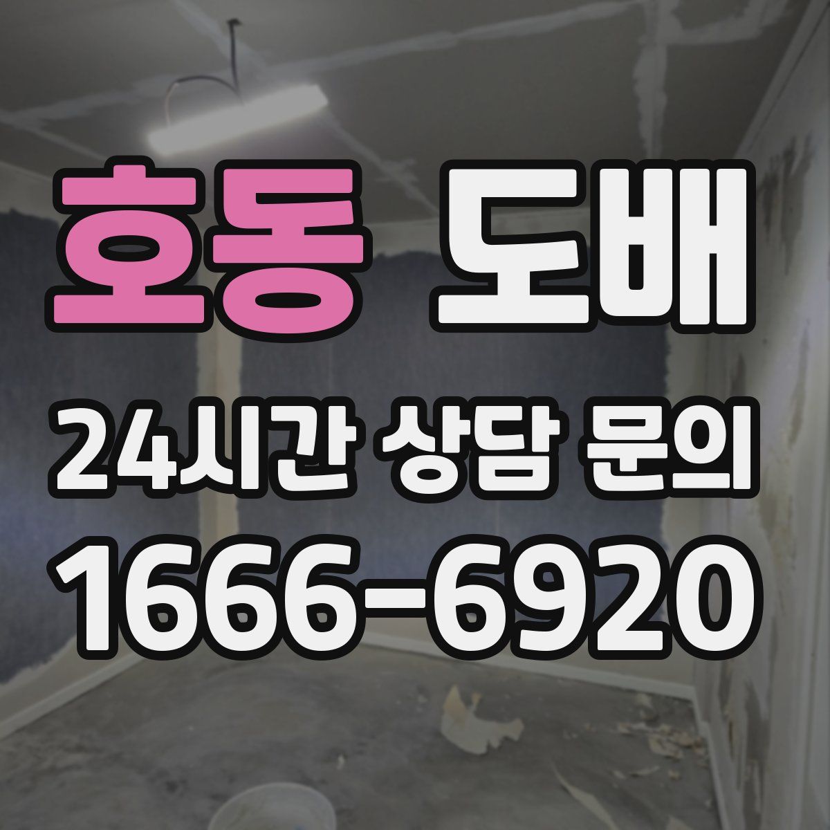호동 도배