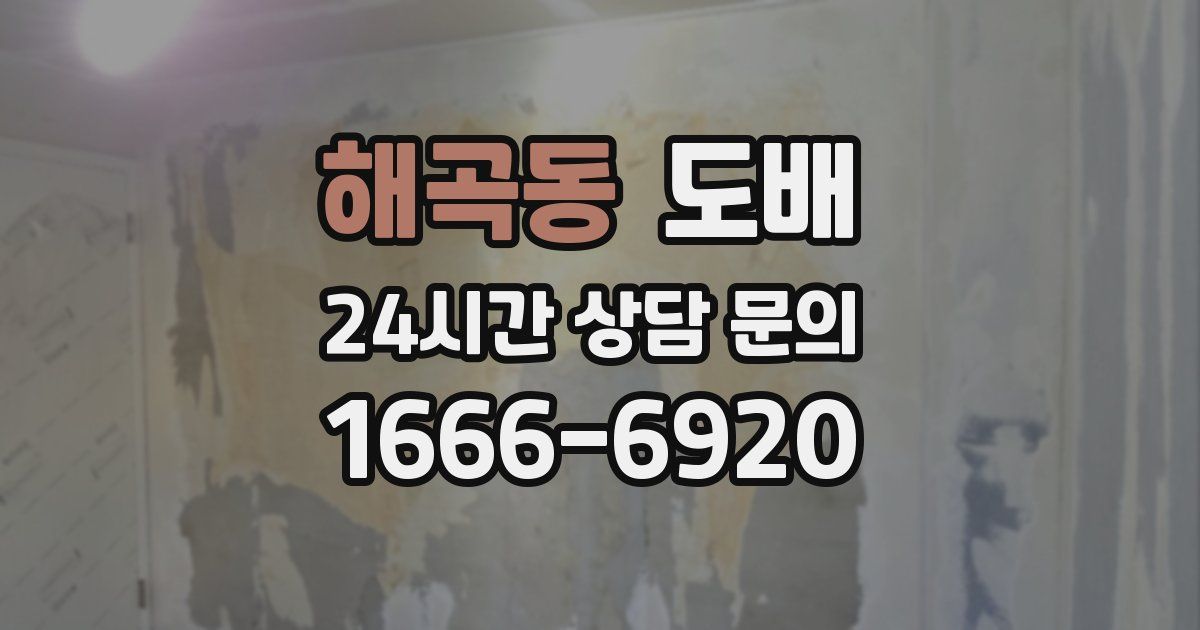해곡동 도배