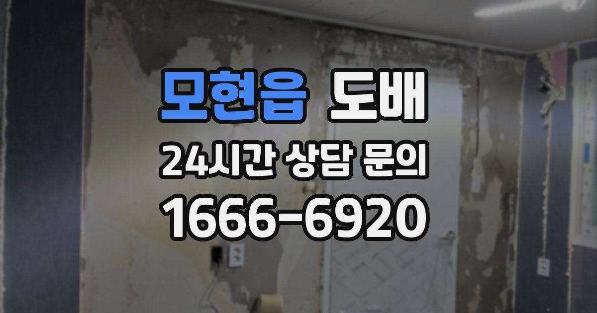 모현읍 도배