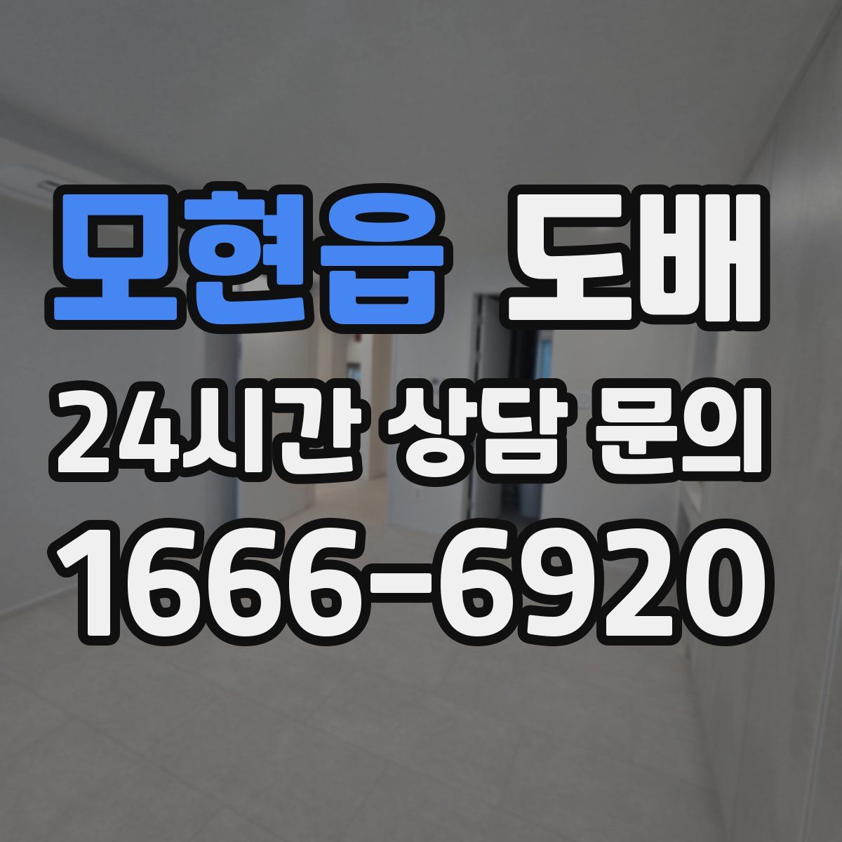 모현읍 도배
