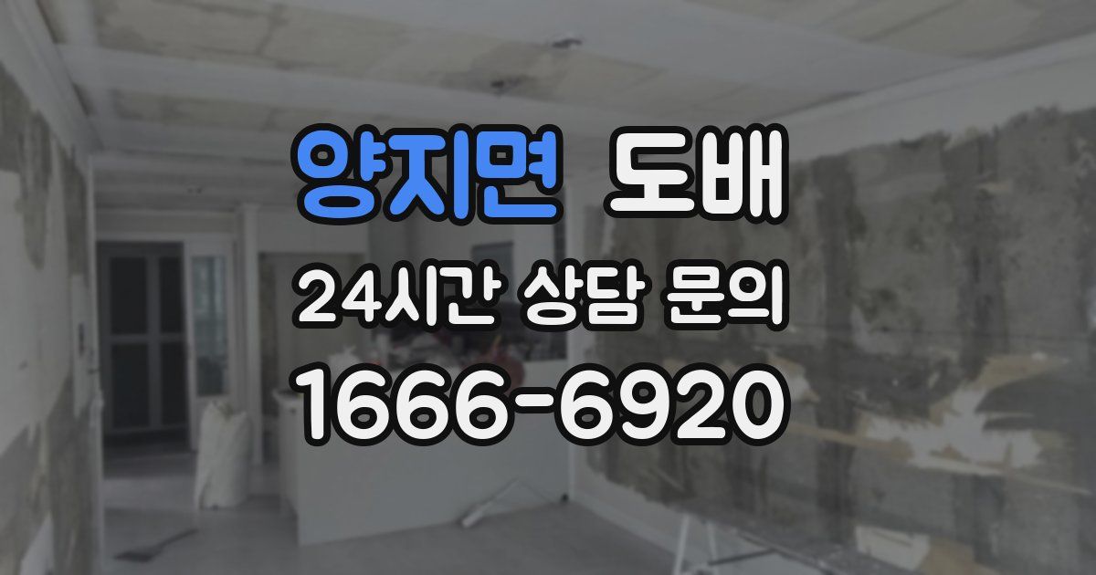 양지면 도배