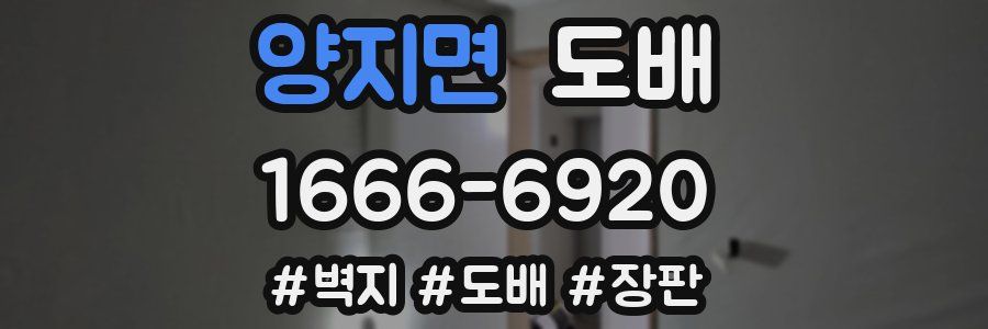 양지면 도배