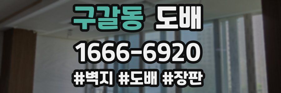 구갈동 도배