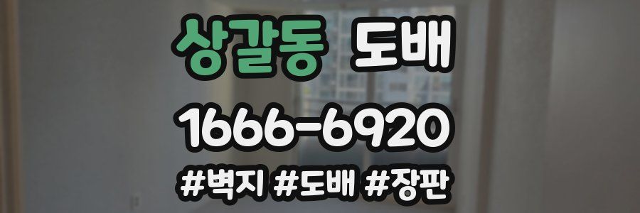 상갈동 도배